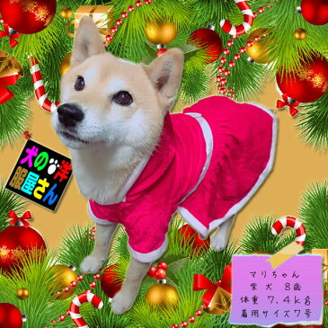 犬服 サンタワンピース（小型犬用）【犬の服2点購入でメール便送料無料】クリスマス サンタクロース 防寒着 ドッグウェア チワワ トイプードル シーズー ミニチュアダックス シュナウザー ヨークシャテリア ポメラニアン パグ フレブル等