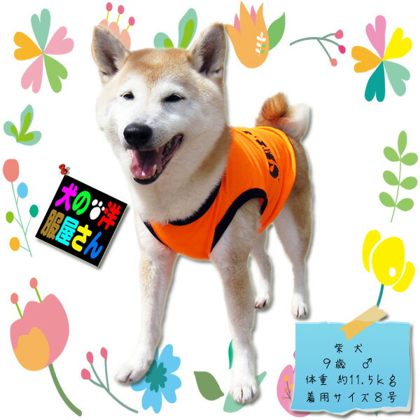＼スーパーSALE 10％OFF／ 犬服 夏用 涼しい メッシュ タンクトップ セキュリティ SECURITY おもしろ ドッグウェア 猫 キャットウェア 超小型犬 小型犬 チワワ トイプードル ダックス パピー 1号 2号 3号 抜け毛防止 暑さ対策 春夏 [SS0604]