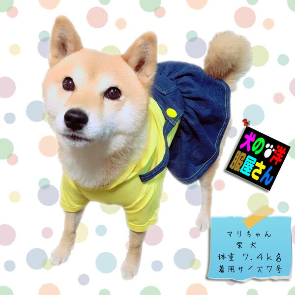 楽天犬の洋服屋さん 楽天市場店＼【予告】6/4（火）20時スタート!600円クーポン&P10倍／ 犬服 オールシーズン用 イエローシャツ＆デニムワンピース（小型犬用）【犬の服2点購入でメール便送料無料】ペアルック可能 スカート