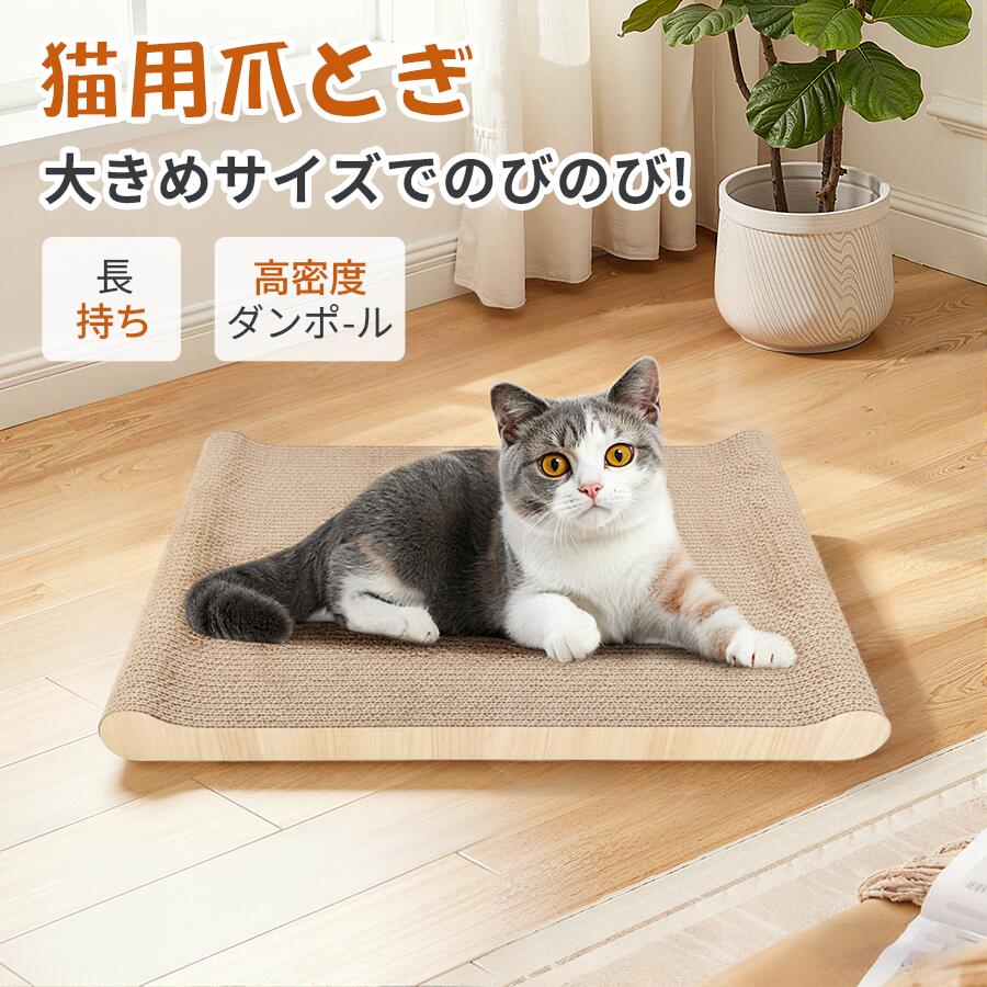 ڿȯ䡪20%OFFǰĩǭ ޤȤ ޸ ޤȤܡ å㡼 ܡ ʥܡ ̩٥ܡ Ȥ  ѵȴ Ĺ...