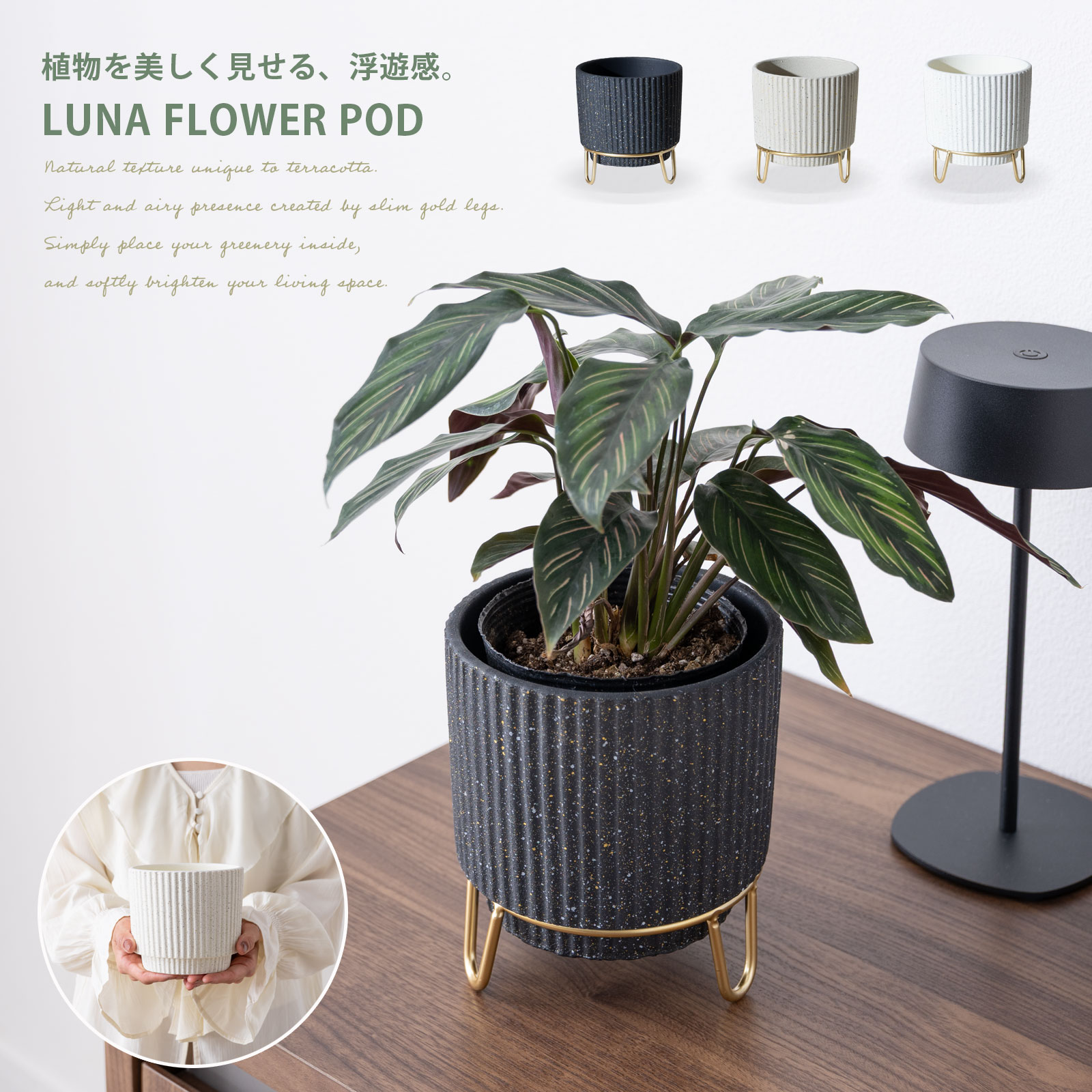 商品画像1