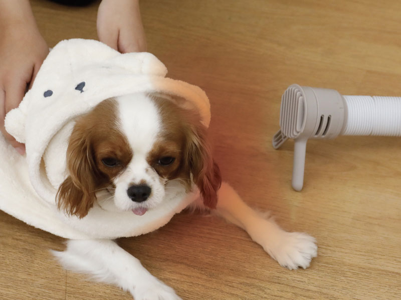 CBジャパン 衣類ふとんドライヤー CB-DB01 布団乾燥機 靴の湿気取り 室内干し 1年中使用可能 ペットドライヤー 多機能