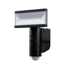 DXアンテナ カメラ付LEDセンサーライト(1灯型) DSLD10CC1 1000lm 200万画素 センサー検知 自動録画 SDカード対応 デルカテック