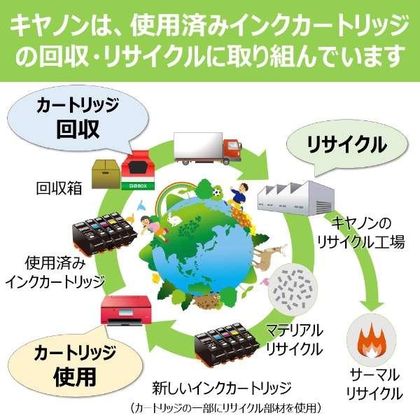 BCI-380XLPGBK 純正プリンターインク (大容量) 顔料ブラック ddshop-10008750 でんでんショッピング 楽天市場店 サンプル画像3