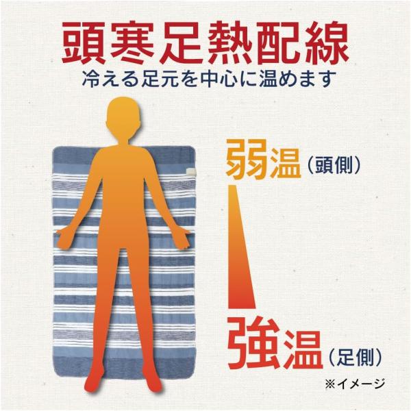 ���ԡ��� �ŵ������� 130��80cm ������ Ƭ��­Ǯ������­�����ä��� �����༣ ���� �ʥ��� DM-Y10SN-NV