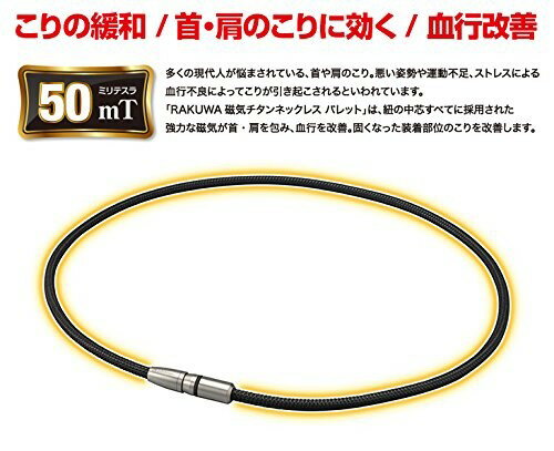 ファイテン(phiten) ネックレス RAK...の紹介画像2