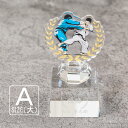 プレミアム アクリル トロフィー ART-4A(大) 名入れ 記念品 表彰状 退職記念 周年記念 創立記念 ゴルフコンペ ホールインワン スポーツ大会 イベント...