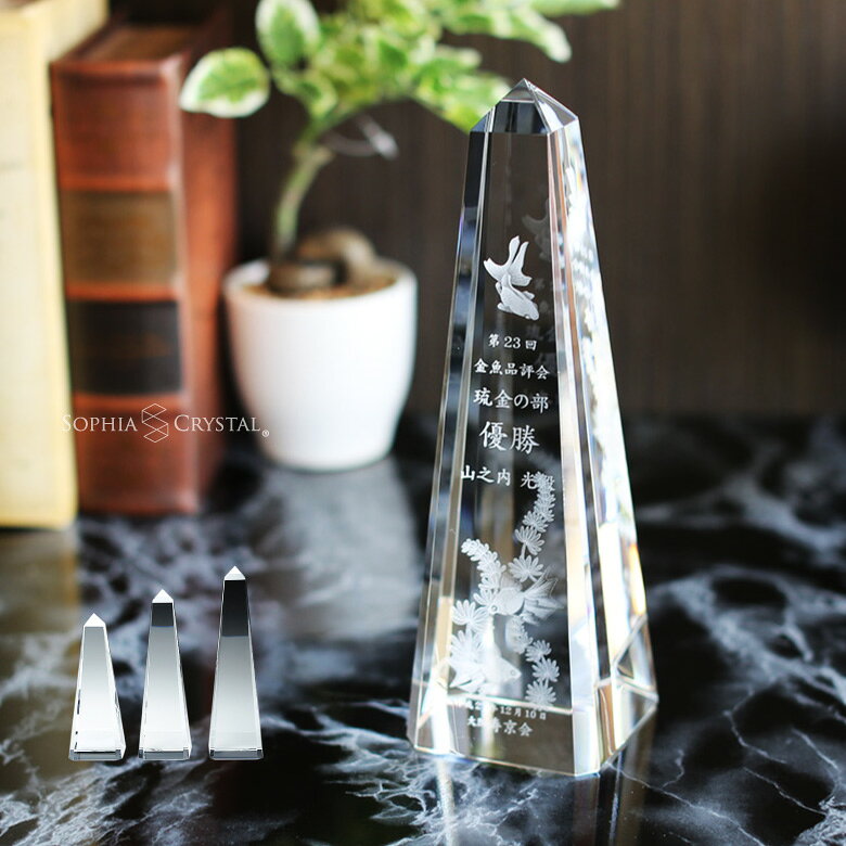 ���ꥹ���� �ȥ��ե��� CR-30 ̾���� ��ǰ�� ɽ���� �࿦��ǰ ��ǯ��ǰ ��Ω��ǰ ����ե���� �ۡ��륤���� ���ݡ������ ���٥�� ͥ�� �ȥ��ե� ...