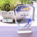 トロフィー クリスタル 盾 DP-2C(小) 名入れ 記念品 表彰状 表彰 盾 表彰楯 卒業 感謝 退職記念 周年記念 創立記念 ゴルフコンペ ホールインワン スポーツ大会 イベント 優勝 トロフィ とろふぃ プレゼント ギフト.