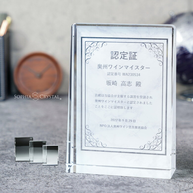 ガレナ 表彰盾 DPG-17 クリスタル 楯 名入れ 記念品 表彰状 卒業 感謝 退職 周年記念 創立記念 ゴルフコンペ ホールインワン スポーツ大会 イベント 優勝 トロフィー プレゼント ギフト DP-17-gal