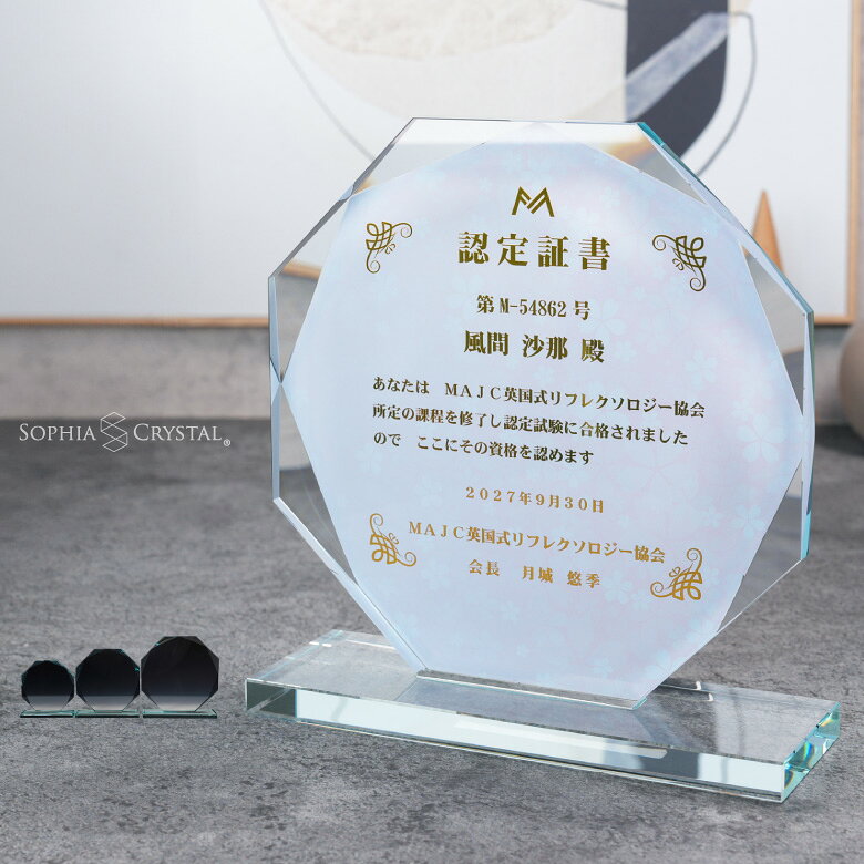 ガレナ 表彰盾 WDPG-26 ホワイトガラス 楯 名入れ 記念品 表彰状 卒業 感謝 退職 周年記念 創立記念 ゴルフコンペ ホールインワン スポーツ大会 イベント 優勝 トロフィー プレゼント ギフト WDP-26-gal