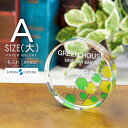 クリスタル ペーパーウェイト DW-1A(大) 文鎮 名入れ 記念品 開店祝い 表彰 感謝状 周年記念 創立記念 還暦 古希 退職祝い 新築祝い 就職 入学 卒...