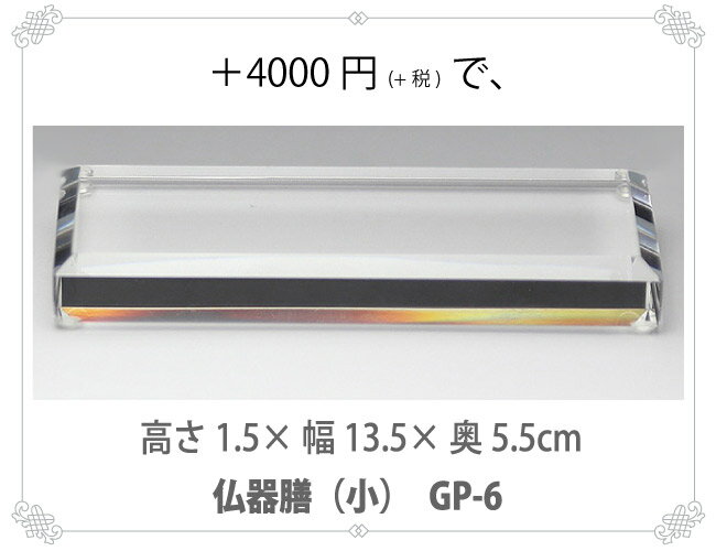 �ڥå� ʩ�� ���ꥹ���� ʩ�� ����� GP-5 �ڥåȥ��ꥢ�� ���ζ� ʩ�� ���� ���� 49��ˡ�� �����ʩ�� �긵���� ���� ������ ���饹 ������� ���襤��