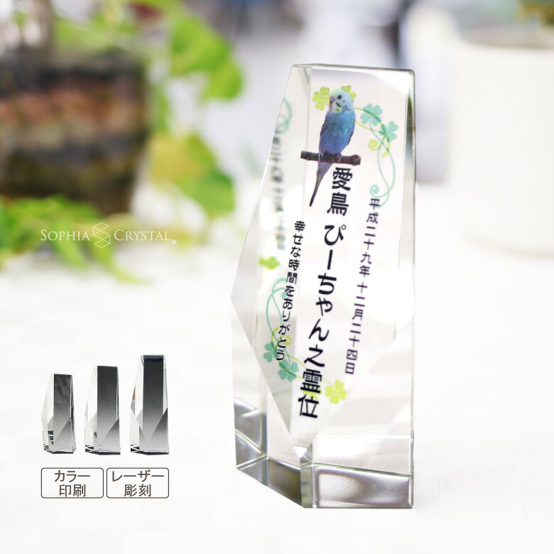 �ڥå� ���� ���ꥹ���� ���饹 KP-14 �̿� ���顼 ξ�̰��� ������ �졼���� Ħ�� �ե��� ��� ʩ�� ���� �ڥåȥ��ꥢ�� ������ �긵���� ʩ��...