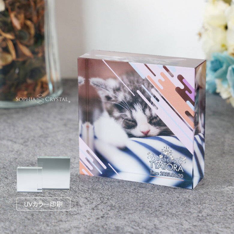 �ڥå� �פ��� ���ꥹ���� KP-25-gift �̿� �����λҵ�ǰ�ե��� �ڥåȥ��ꥢ�� �� ǭ ������ ����