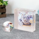 翌日お届け ペット 思い出 クリスタル KP-25A-p 写真 カラー 誕生石 写真 フォトフレーム ペットメモリアル 犬 猫 うさぎ インコ