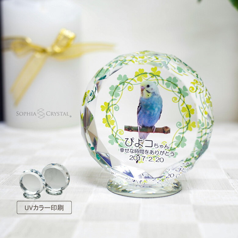 ペット 位牌 KP-26 写真 カラー 両面�