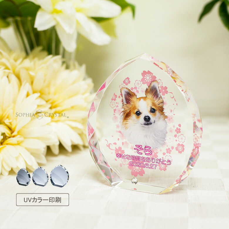 ペット 位牌 KP-28 写真 カラー 両面�