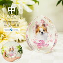 ペット 位牌 KP-28B(中) 写真 カラー 両面印刷 誕生石 フォト 遺影 仏具 供養 ペットメモリアル お位牌 手元供養 仏壇 葬儀 49日 虹の橋 名入...