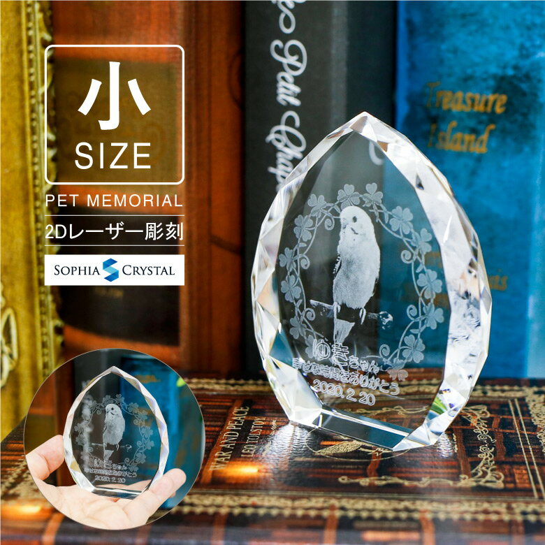 ڥå  KP-28C-2D() ̿ 졼 Ħ  ե  ʩ  ڥåȥꥢ  긵 ʩ ...