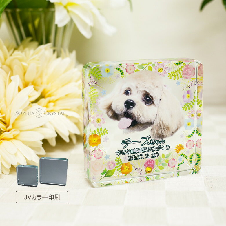 ペット 位牌 KP-29 写真 カラー 両面�