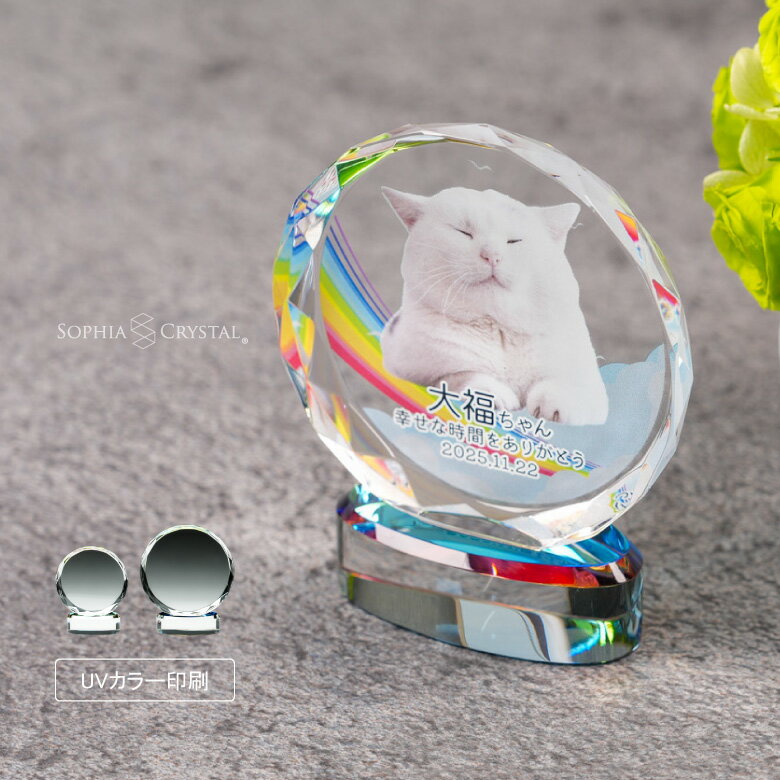 �ڥå� ���� KP-34 �̿� ���顼 ξ�̰��� ������ �ե��� ��� ʩ�� ���� �ڥåȥ��ꥢ�� ������ �긵���� ʩ�� �� 49�� ���ζ� ̾���� Ħ��...