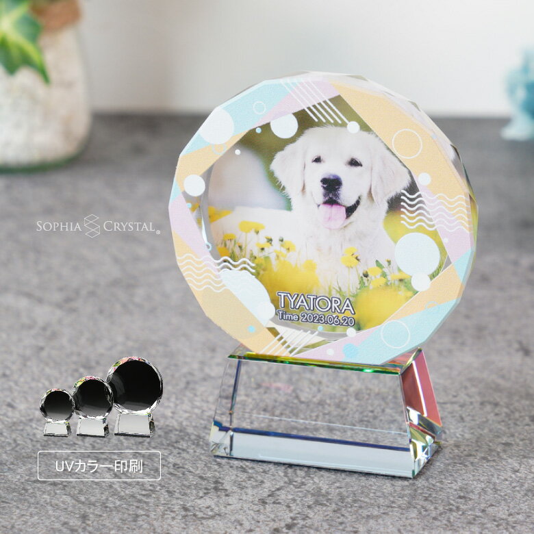 �ڥåȥ��ꥢ�� KP-4-gift �̿� ���顼 �ڥå� ���ꥹ���� ���饹 ���襤�� ���饭�� �� ǭ ������ ����