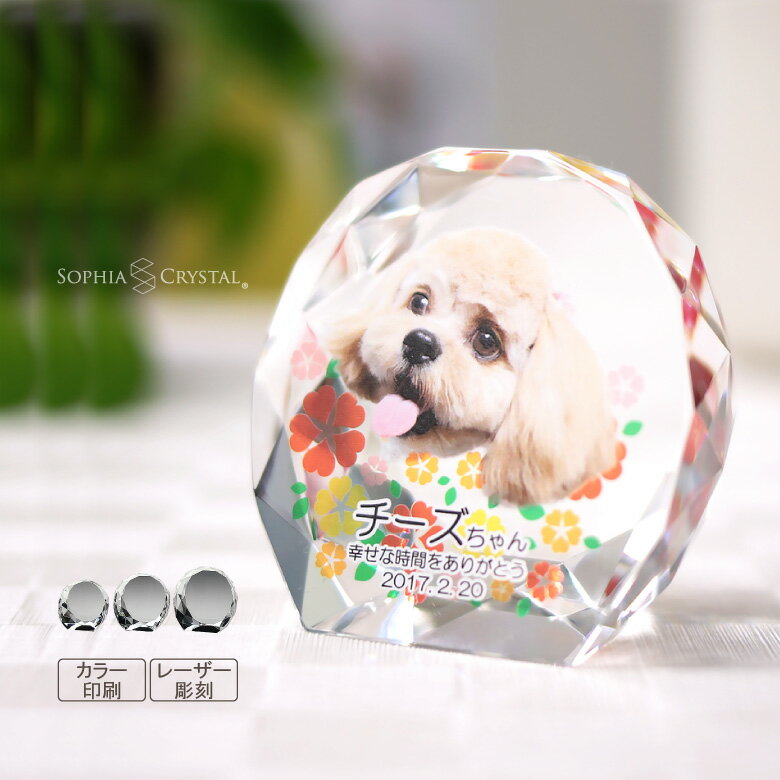 �ڥå� ���� ���ꥹ���� ���饹 KP-7 �̿� ���顼 ξ�̰��� ������ �졼���� Ħ�� �ե��� ��� ʩ�� ���� �ڥåȥ��ꥢ�� ������ �긵���� ʩ�� ...