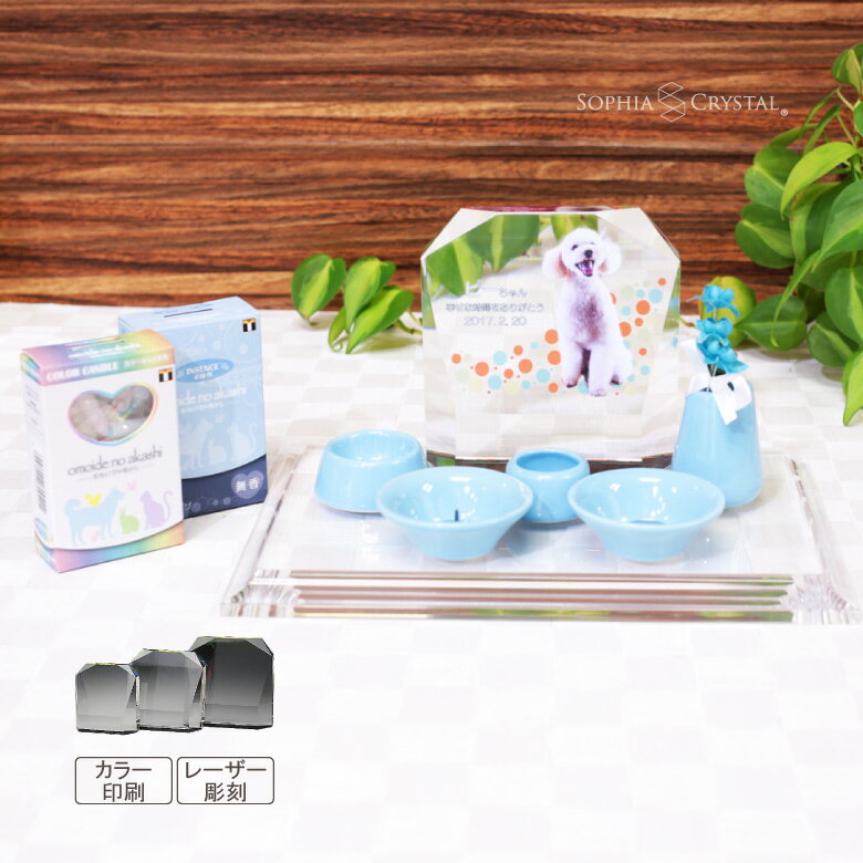 �ڥå� ���� ʩ�񥻥å� KP-3-ASET ���ꥹ���� �̿� ���顼 ξ�̰��� ������ �졼���� Ħ�� �ե��� ��� ���� �ڥåȥ��ꥢ�� ƫ�� �긵���� ...