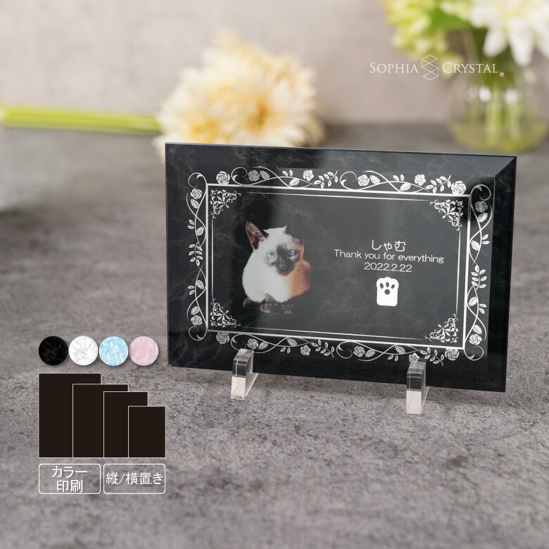 �ڥå� ���� ����� PSP-8-galm �̿� ���顼 ������ �ե��� ��� ʩ�� ���� ���饹 �ڥåȥ��ꥢ�� ������ �긵���� ʩ�� �� 49�� ����...