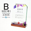トロフィー ガラス 盾 DSP-3B(中) 名入れ 記念品 表彰状 表彰 盾 表彰楯 卒業 感謝 退職記念 周年記念 創立記念 ゴルフコンペ ホールインワン スポーツ大会 イベント 優勝 トロフィ プレゼント ギフト