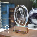 トロフィー ゴルフ クリスタルトロフィー SS-1C(小) 名入れ オリジナル 記念品 表彰状 退職記念 周年記念 創立記念 ゴルフコンペ ホールインワン スポ...