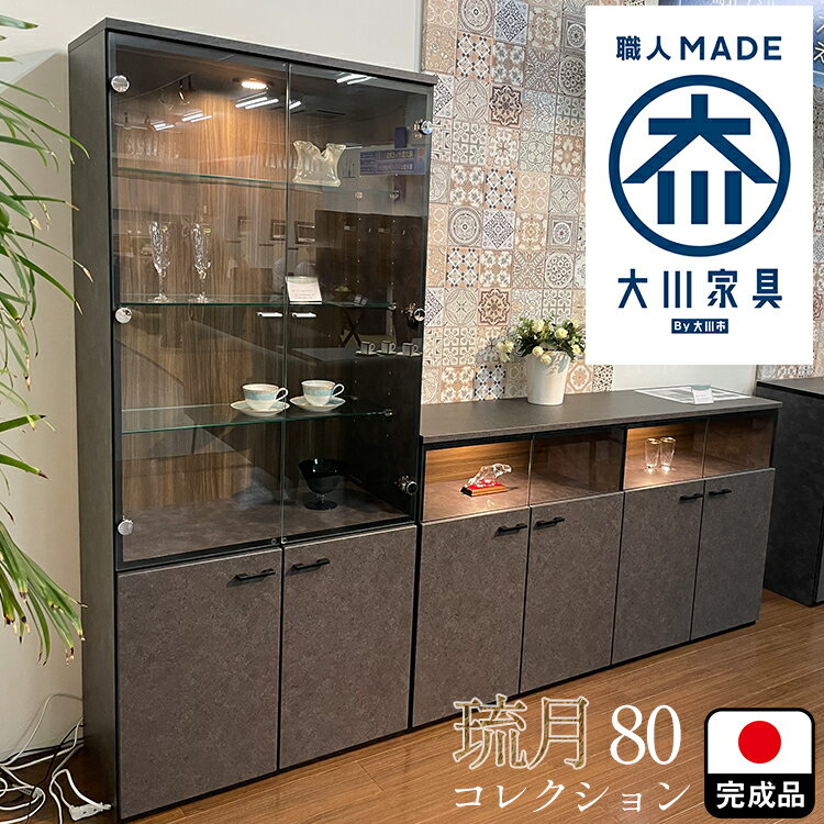 sd-ser80co.jpg