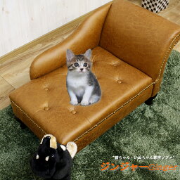 ペット 猫 モダン ソファ 犬 イヌ ねこ 猫ソファ 猫 ベッド ネコ cat cats dog dogs （ジンジャーginger）【 おしゃれ ミニソファ ファブリック 家具 インテリア家具 洋室 和室 中型犬 ソファ ミニサイズ 猫 の 爪 に 強い ソファー 猫 ベッド シンプル】