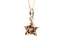 yDEAL DESIGN/fB[fUCzTINY STAR ROSE PENDANT Vo[ ANZT[ Y fB[X Mtg A[eBXgp   Y uh lbNX y_g O sAX uXbg