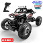 MR:DEERC 饸󥫡 ɤ ե ͵ 4WD ضưRC 1/16 90ʬ 2.4GHz ⥳󥫡 ɿ  ץ쥼 £ʪ DE45