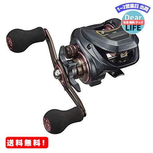 【楽天1位獲得】ダイワ(DAIWA) ベイトリール 紅牙 X IC (カウンター付き) R (右ハンドル) 2018年モデル