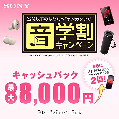 MR:ソニー ウォークマン Aシリーズ 16GB NW-A55 : MP3プレーヤー Bluetooth microSD対応 ハイレゾ対応 最大45時間連続再生 2018年モデル ペールゴールド NW-A55 N 2