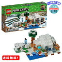 MR:レゴ LEGO マインクラフト 北極のイグルー 21142