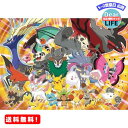 MR: 300ピース ジグソーパズル ポケットモンスターXY カロス地方で会おうね! ラージピース( ...