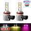 MR:Catland LED ե H8 H11 H16  ۥ磻 ԥ 3 ե إåɥ饤   ԥ󥯥ѡץ 3 12V  LEDХ η  CSPå 4000LM*2 Ĵǽ ե쥹 IP67ɿ 2