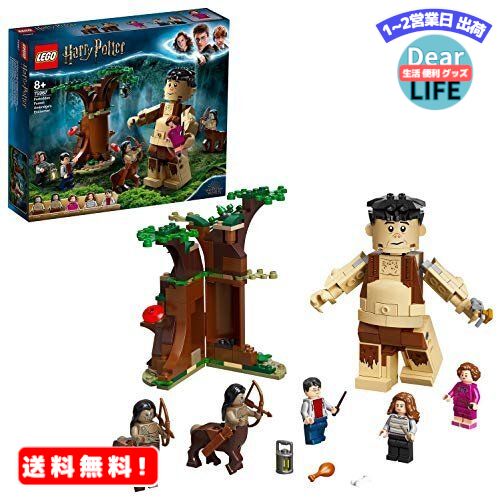 MR:쥴(LEGO) ϥ꡼ݥå ؤ줿פȥ֥å 75967