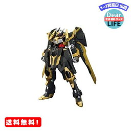 MR:HGBF ガンダムビルドファイターズAR ガンダムシュバルツリッター 1/144スケール 色分け済みプラモデル