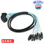 MR: CableDeconn®6/åSata 3 SATA֥SAS֥6GbpsС1M