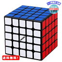 MR: FAVNIC 魔方 キューブ 4x4x4 5x5x5【6面完成攻略書付き】競技用 立体パズル 知育玩具 (磁石キューブ 5x5)