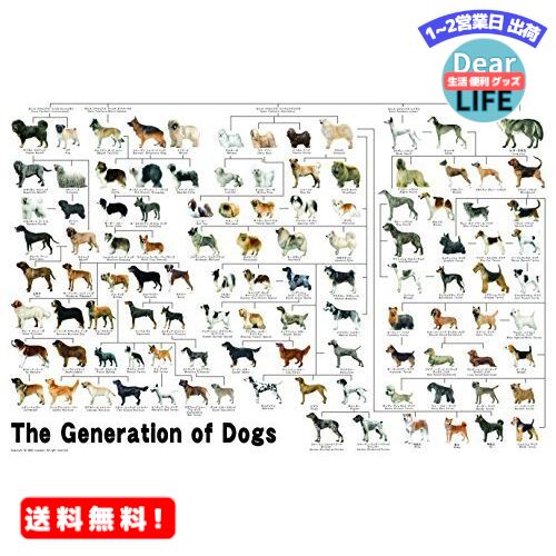 MR: 1000ピース ジグソーパズル めざせ パズルの達人 犬の系統図(50x75cm)