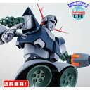 【在庫品限り】 ROBOT魂 SIDE MS MSN-02 ジオング ver. A.N.I.M.E. ガンダム プレバン 新古品