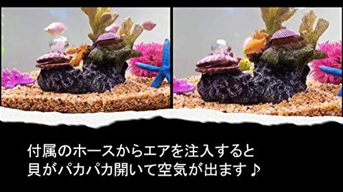 heizi 水槽 サンゴ 貝 オーナメント メダカ 熱帯魚 金魚 アクアリウム エアー 開閉 オブジェ ヌマエビ 隠れ家