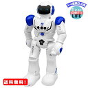 MR:電動ロボット インテリジェン おもちゃ プログラム可能 ジェスチャ制御 リモコンコントロール AUGYMER多機能ロボット 歩く 滑走 音楽 ダンス 人型ロボット