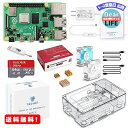 MR:TRASKIT Raspberry Pi 4 Model B Starter Kit/Yx[pC4Bi4GB RAMjZK}[Nt/MicroSDHCJ[h64GB NOOBSvCXg[/ȒPɎtP[X/5.1V/3A Type-C XCb`td/2MicroHDMI-to-HDMIP...